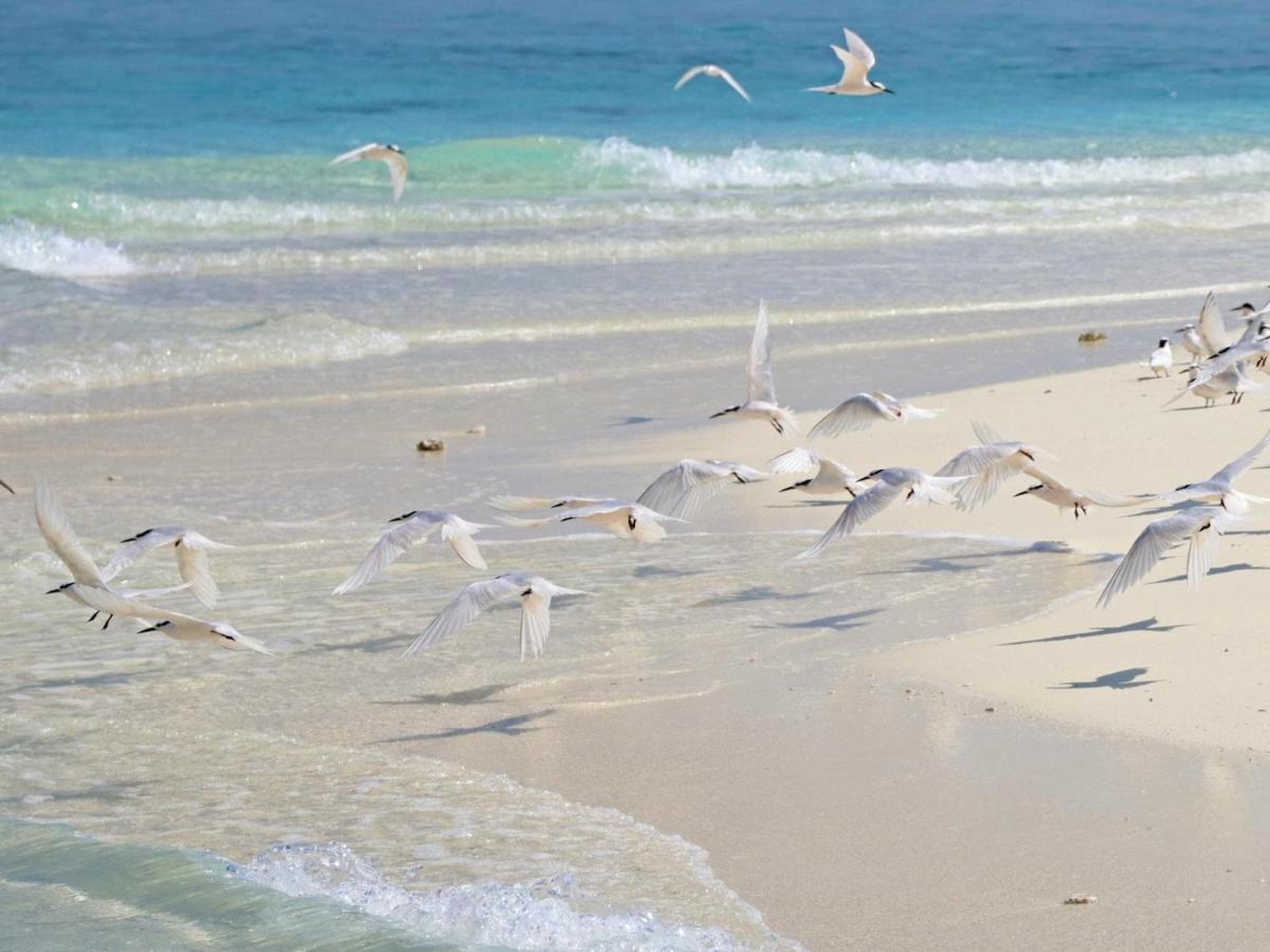 Kiha Beach Dharavandhoo Zewnętrze zdjęcie