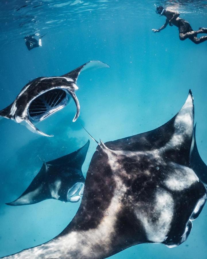 Kiha Beach Dharavandhoo Zewnętrze zdjęcie