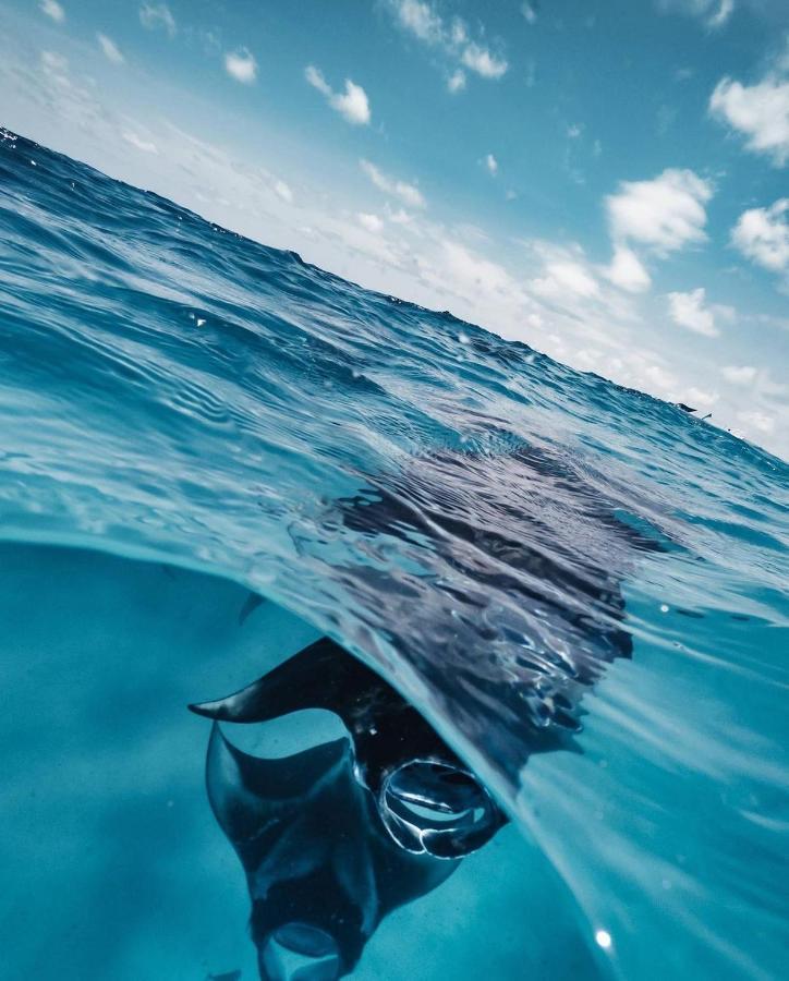 Kiha Beach Dharavandhoo Zewnętrze zdjęcie